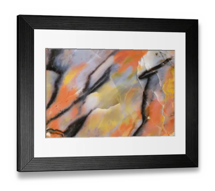 Framed Print : USA, Arizona. Close-up of petrified wood. Credit as: Dennis Kirkland / Jaynes Gallery Framed Print : USA, Arizona. Close-up of petrified wood. Credit as: Dennis Kirkland / Jaynes Gallery