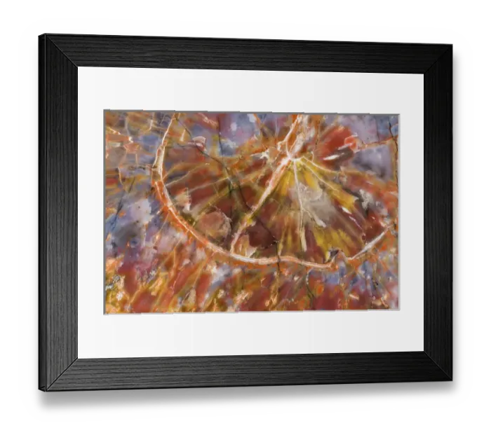 Framed Print : USA, Arizona. Close-up of petrified wood. Credit as: Dennis Kirkland / Jaynes Gallery Framed Print : USA, Arizona. Close-up of petrified wood. Credit as: Dennis Kirkland / Jaynes Gallery