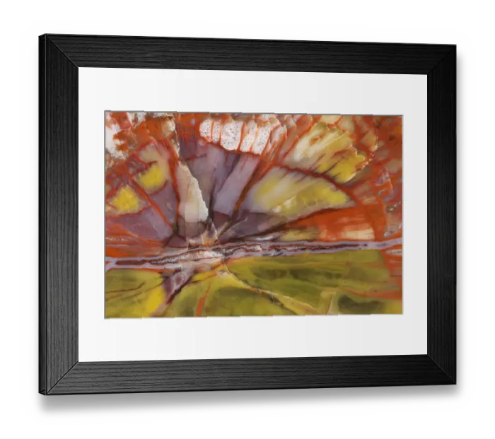 Framed Print : USA, Arizona. Close-up of petrified wood. Credit as: Dennis Kirkland / Jaynes Gallery Framed Print : USA, Arizona. Close-up of petrified wood. Credit as: Dennis Kirkland / Jaynes Gallery