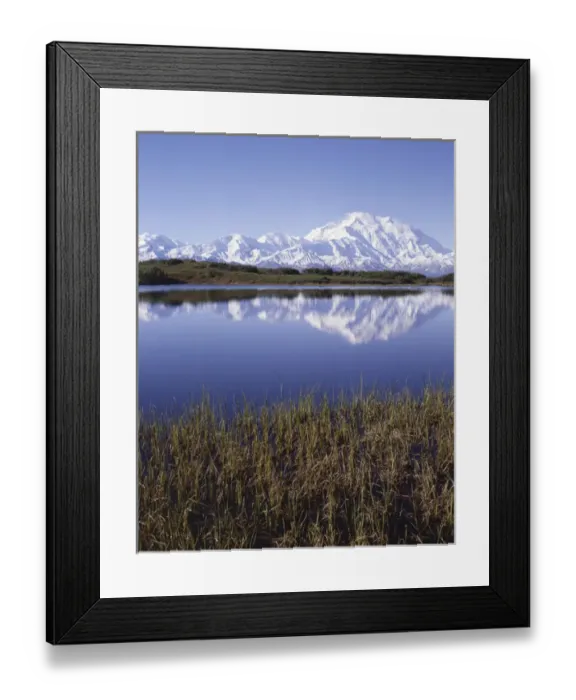 Framed Print : USA, Alaska, Summer, Tundra Pond, Mount McKinley, Denali National Park