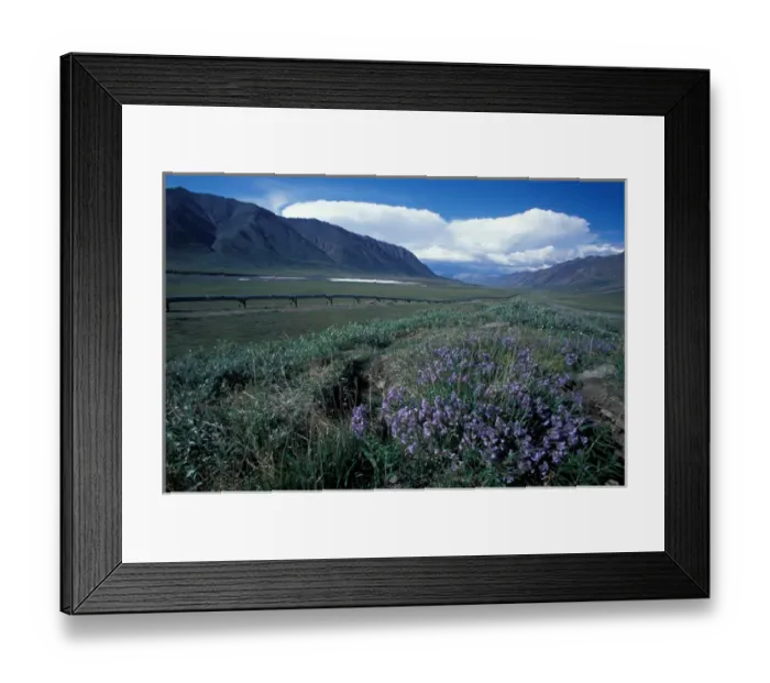 Framed Print : NA, USA, Alaska, Brooks Range, James Dalton Highway and Trans-Alaska Pipeline Framed Print : NA, USA, Alaska, Brooks Range, James Dalton Highway and Trans-Alaska Pipeline