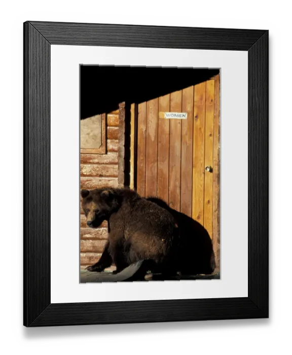 Framed Print : North America, USA, Alaska, Katmai National Park. Brown bear cub next to women s Framed Print : North America, USA, Alaska, Katmai National Park. Brown bear cub next to women s