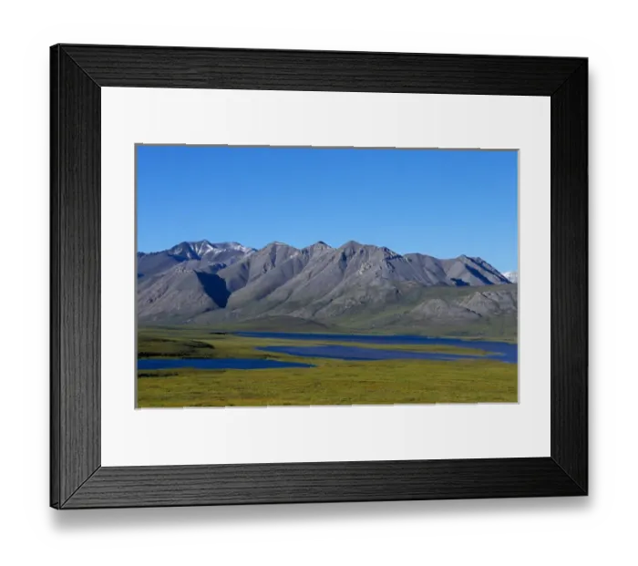 Framed Print : NA, USA, Alaska, Brooks Range, Alaska National Wildlife Refuge, View of the tundra Framed Print : NA, USA, Alaska, Brooks Range, Alaska National Wildlife Refuge, View of the tundra