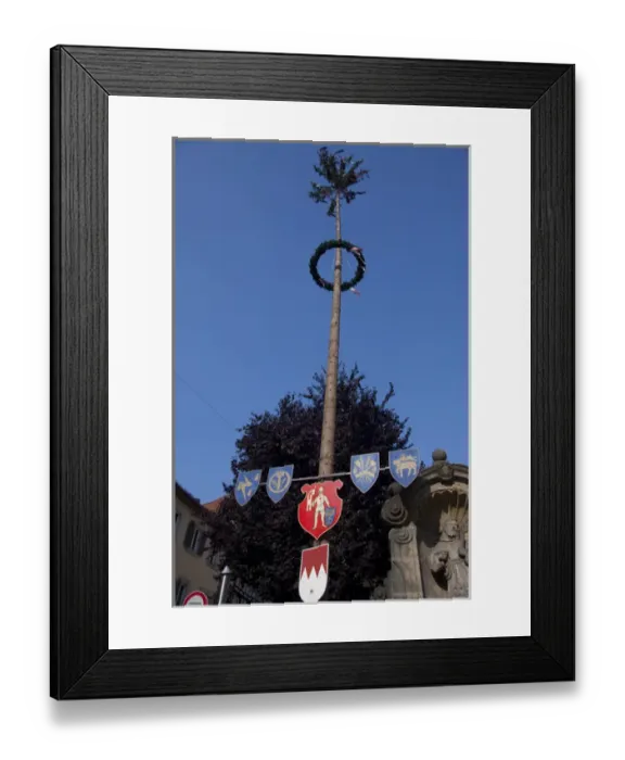 Framed Print : Germany, Bamberg. Maypole with medieval signs Framed Print : Germany, Bamberg. Maypole with medieval signs