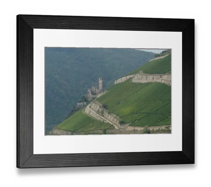 Framed Print : Germany, Rhine River. View between Mainz & Koblenz near Rudesheim. Castle ruins surrounded Framed Print : Germany, Rhine River. View between Mainz & Koblenz near Rudesheim. Castle ruins surrounded