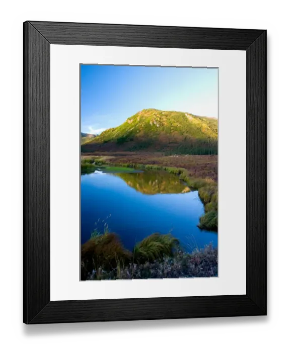 Framed Print : N. A. USA, Alaska. Still Pond in Denali National Park