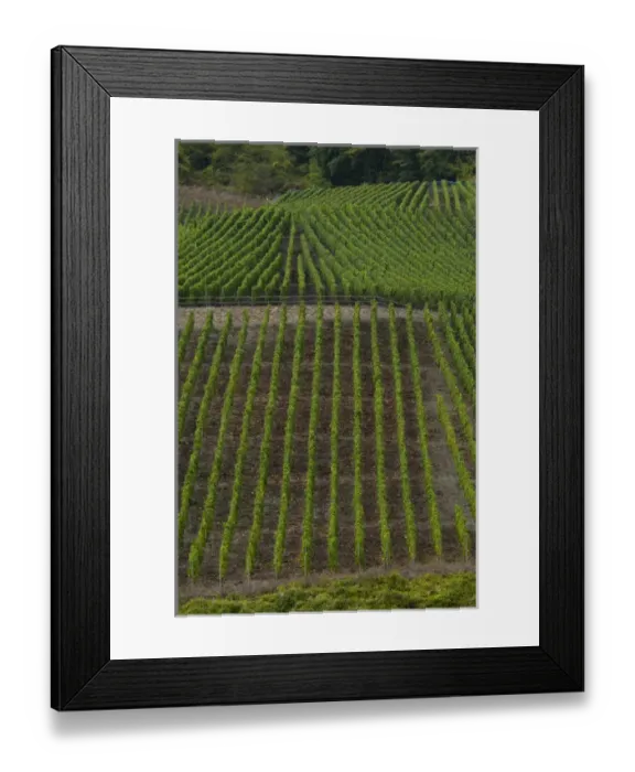 Framed Print : Germany, Rhine River. View along the Rhine River near Boppard (mile marker 570) Framed Print : Germany, Rhine River. View along the Rhine River near Boppard (mile marker 570)