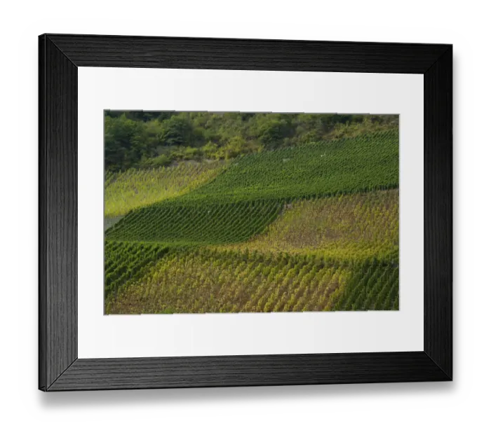 Framed Print : Germany, Rhine River. View along the Rhine River near Boppard (mile marker 570) Framed Print : Germany, Rhine River. View along the Rhine River near Boppard (mile marker 570)