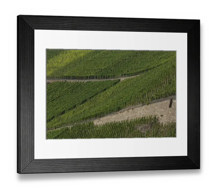 Framed Print : Germany, Rhine River. View along the Rhine River near Boppard (mile marker 570) Framed Print : Germany, Rhine River. View along the Rhine River near Boppard (mile marker 570)