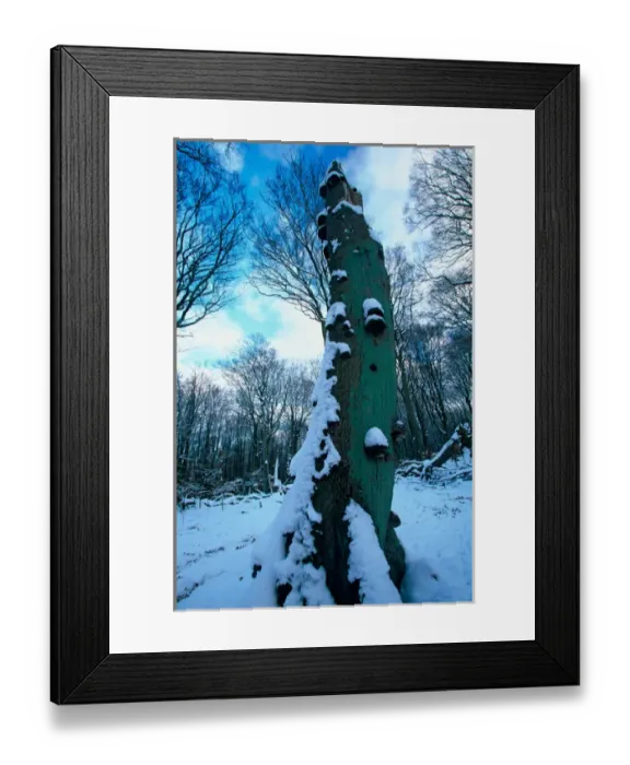 Framed Print : EUROPE, Germany, Baltic Sea, Island of Ruegen Jasmund Nat l Park Framed Print : EUROPE, Germany, Baltic Sea, Island of Ruegen Jasmund Nat l Park