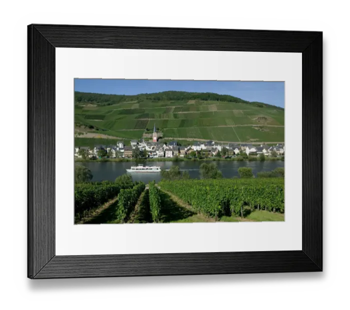 Framed Print : Merl bei Zell, vineyards, Mosel Valley, Rhineland Palatinate, Germany