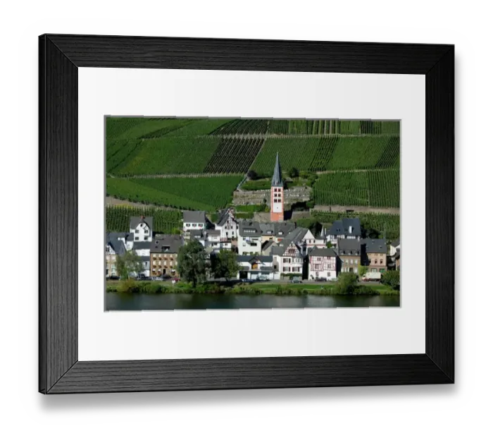 Framed Print : Merl bei Zell, vineyards, Mosel Valley, Rhineland Palatinate, Germany