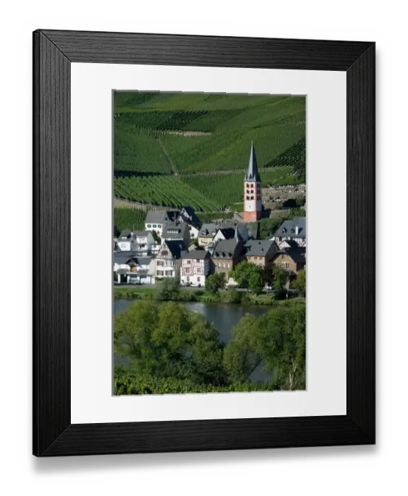Framed Print : Merl bei Zell, vineyards, Mosel Valley, Rhineland Palatinate, Germany