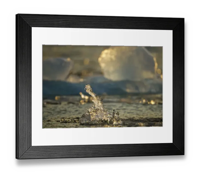 Framed Print : USA, Alaska, Tracy Arm - Fjords Terror Wilderness, Setting sun lights icebergs floating Framed Print : USA, Alaska, Tracy Arm - Fjords Terror Wilderness, Setting sun lights icebergs floating