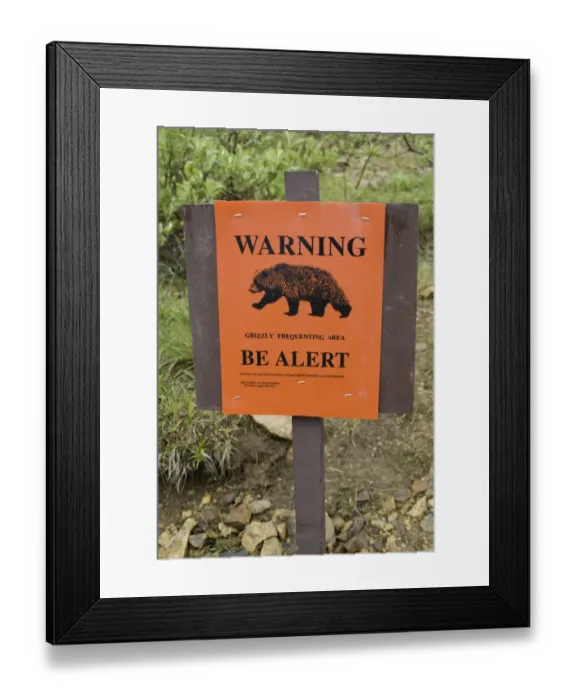 Framed Print : Denali National Park, Alaska, US, June 2006 Framed Print : Denali National Park, Alaska, US, June 2006