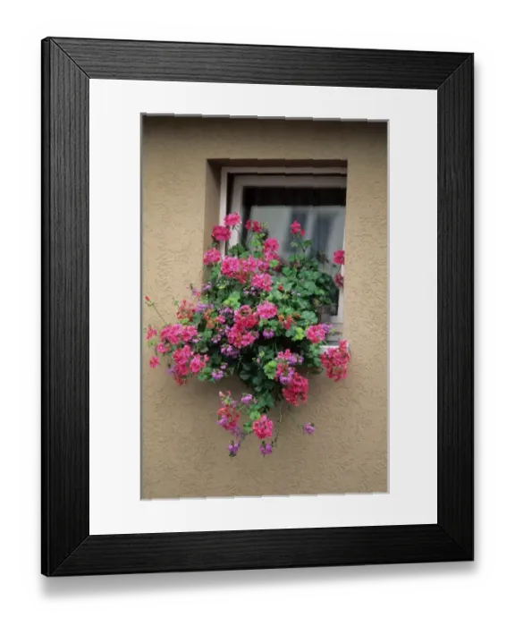 Framed Print : Flowers in a window on a German house. germany, german, europe, european, deutsche Framed Print : Flowers in a window on a German house. germany, german, europe, european, deutsche