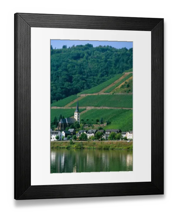 Framed Print : Vineyards along the Mosel River in Germany. germany, german, europe, european Framed Print : Vineyards along the Mosel River in Germany. germany, german, europe, european