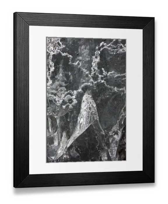 Framed Print : USA, Alaska, Detail of iceberg along Prince William Sound in summer rain Framed Print : USA, Alaska, Detail of iceberg along Prince William Sound in summer rain