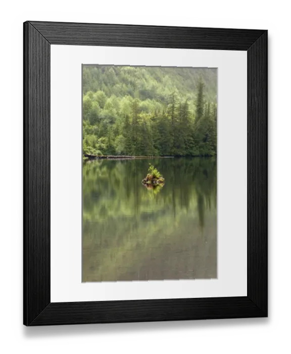 Framed Print : USA, Alaska, Tongass National Forest, Southeast Framed Print : USA, Alaska, Tongass National Forest, Southeast
