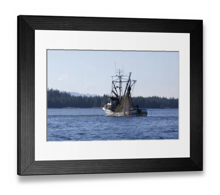 Framed Print : USA, Alaska, Southeast near Ketchikan, seine boats salmon fishing Framed Print : USA, Alaska, Southeast near Ketchikan, seine boats salmon fishing