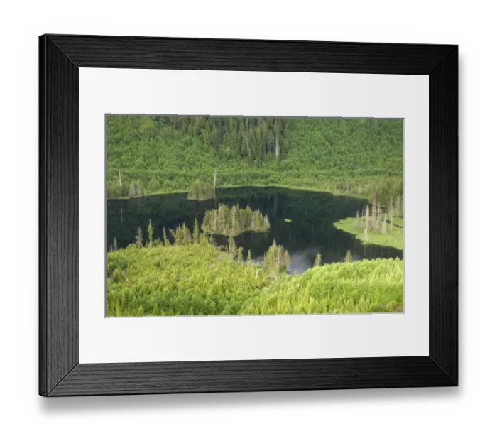 Framed Print : USA, Alaska, Southeast, aerial near Ketchikan Framed Print : USA, Alaska, Southeast, aerial near Ketchikan