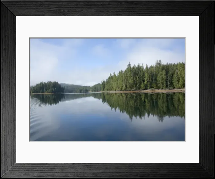 Framed Print : USA, Alaska, outside of Ketchikan in Southeast Framed Print : USA, Alaska, outside of Ketchikan in Southeast