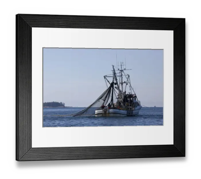 Framed Print : USA, Alaska, Southeast near Ketchikan, seine boats salmon fishing