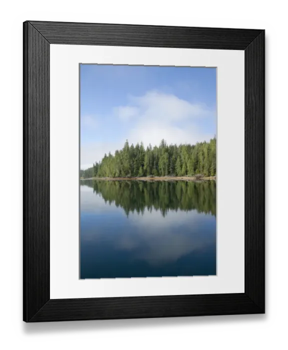 Framed Print : USA, Alaska, outside of Ketchikan in Southeast Framed Print : USA, Alaska, outside of Ketchikan in Southeast