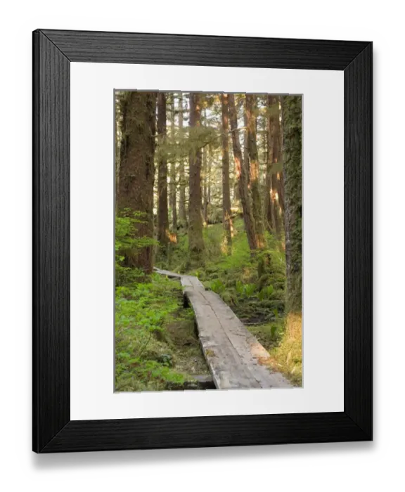 Framed Print : USA, Alaska, Ketchikan, Naha Lagoon trail Framed Print : USA, Alaska, Ketchikan, Naha Lagoon trail