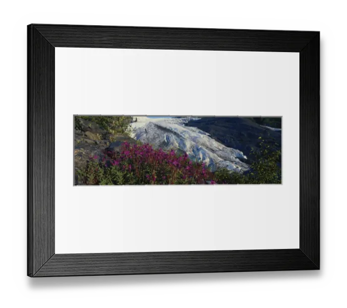 Framed Print : 06. Alaska, Chugach Mountains, View of fireweeds and Worthington Glacier at dawn