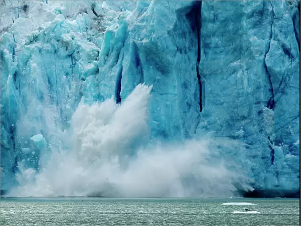 USA, Alaska, Tongass National Forest, Tracy Arm - Fords Terror Wilderness, Icebergs