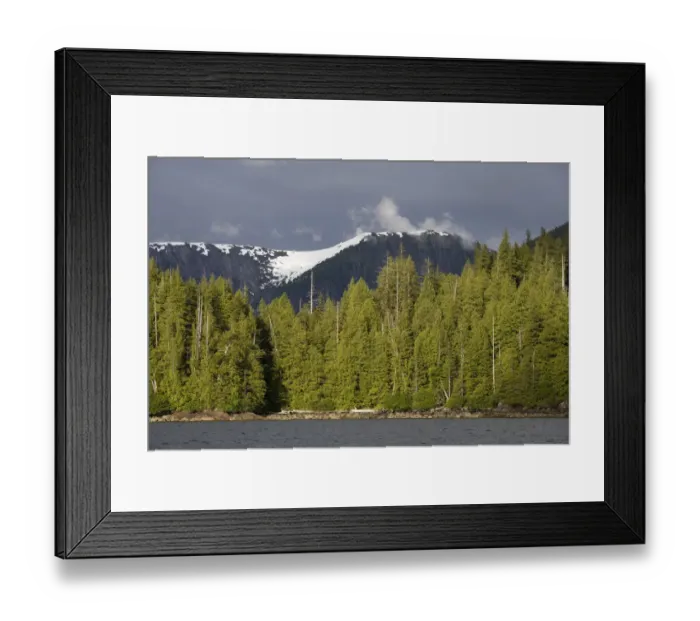 Framed Print : USA, Alaska, Misty Fjords National Monument, Setting sun lights rainforest along