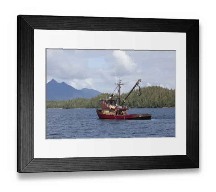 Framed Print : USA, Alaska, Southeast near Ketchikan, seine boats salmon fishing Framed Print : USA, Alaska, Southeast near Ketchikan, seine boats salmon fishing