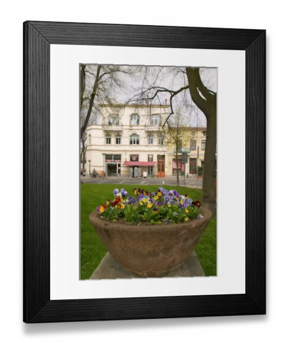 Framed Print : flowers and building Framed Print : flowers and building
