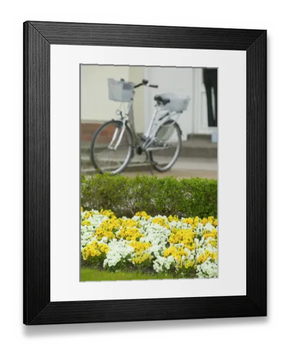 Framed Print : flowers and bicycle Framed Print : flowers and bicycle
