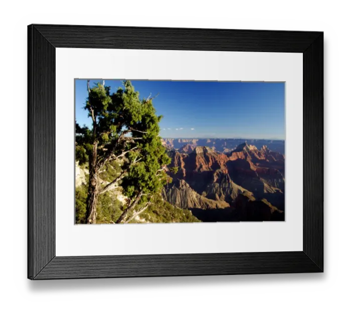 Framed Print : North America, USA, Arizona, Grand Canyon National Park, North Rim. Canyon view with Framed Print : North America, USA, Arizona, Grand Canyon National Park, North Rim. Canyon view with