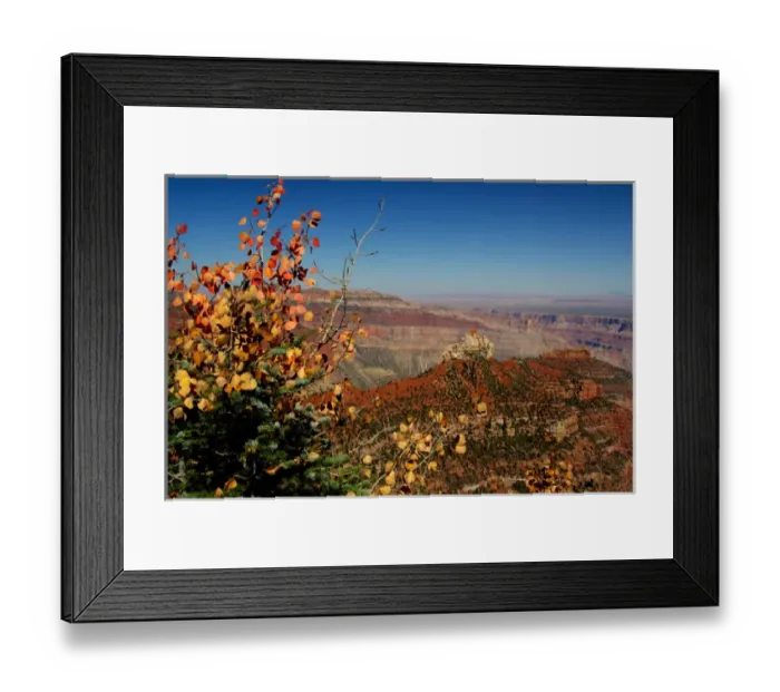 Framed Print : North America, USA, Arizona, Grand Canyon National Park, North Rim. Vista Encantada