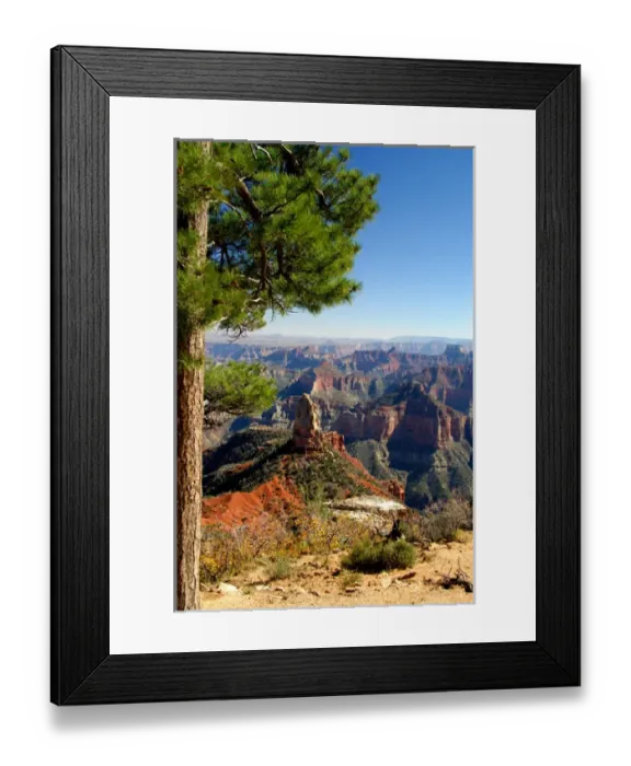 Framed Print : North America, USA, Arizona, Grand Canyon National Park, North Rim. Point Imperial Framed Print : North America, USA, Arizona, Grand Canyon National Park, North Rim. Point Imperial