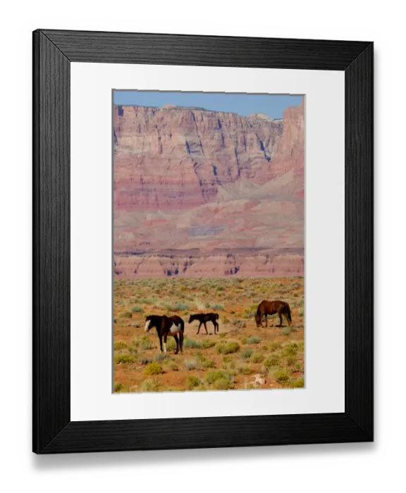Framed Print : North America, USA, Arizona, Grand Canyon National Park, North Rim. Vermillion Cliffs Framed Print : North America, USA, Arizona, Grand Canyon National Park, North Rim. Vermillion Cliffs