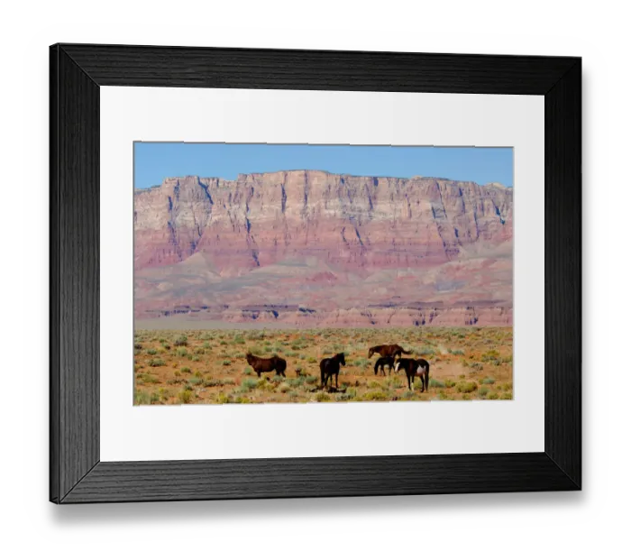 Framed Print : North America, USA, Arizona, Grand Canyon National Park, North Rim. Vermillion Cliffs Framed Print : North America, USA, Arizona, Grand Canyon National Park, North Rim. Vermillion Cliffs