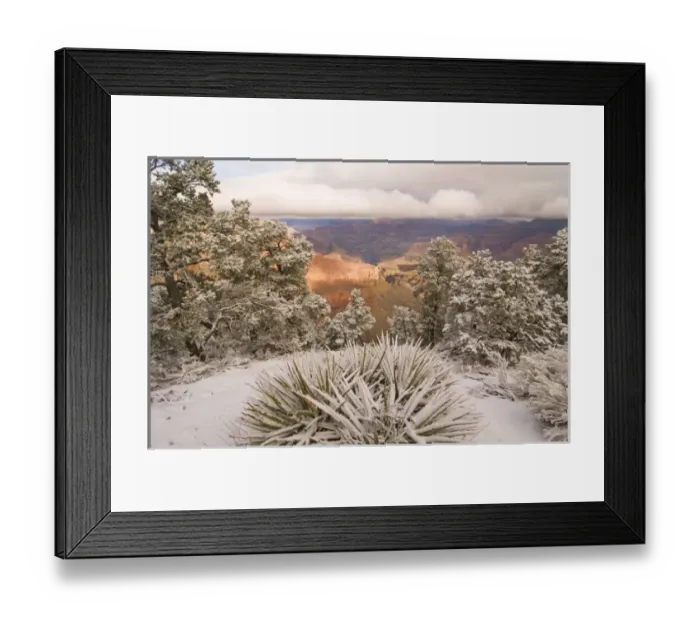 Framed Print : Scenic snowy winter landscape along the south rim of the majestic Grand Canyon, Grand Framed Print : Scenic snowy winter landscape along the south rim of the majestic Grand Canyon, Grand