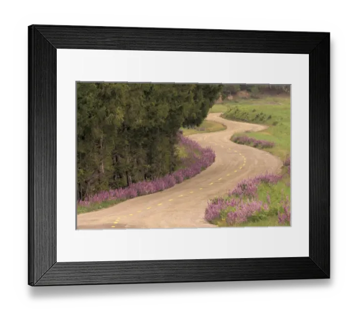 Framed Print : N. A. USA, California Winding road lined with lupine flowers Framed Print : N. A. USA, California Winding road lined with lupine flowers