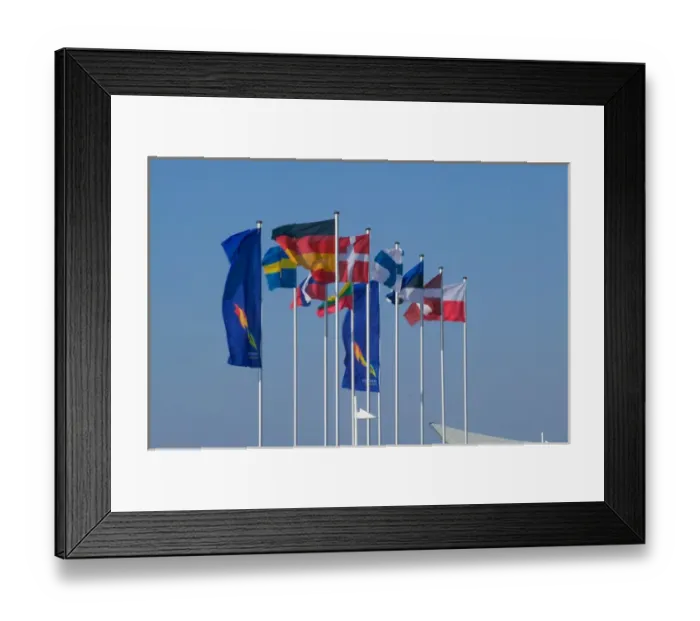 Framed Print : flags