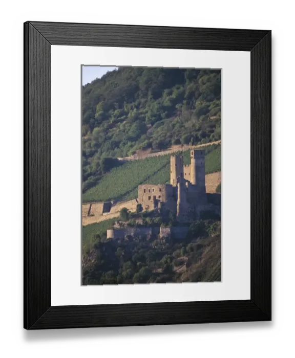 Framed Print : Europe, Germany, Hesse, near Rudesheim, Burg Ehrenfels Castle Framed Print : Europe, Germany, Hesse, near Rudesheim, Burg Ehrenfels Castle