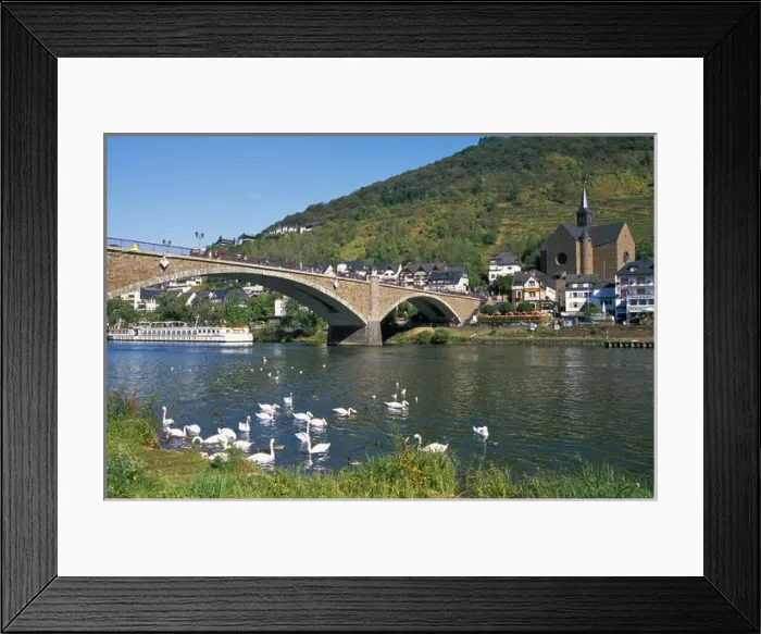 Framed Print : Europe, Germany, Rhineland-Palatinate, Cochem, bridge across Mosel River with swans Framed Print : Europe, Germany, Rhineland-Palatinate, Cochem, bridge across Mosel River with swans