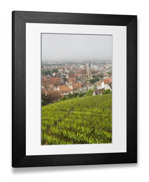 Framed Print : GERMANY, Baden-Wurttemberg, Esslingen Am Neckar. Town view from vineyards Framed Print : GERMANY, Baden-Wurttemberg, Esslingen Am Neckar. Town view from vineyards