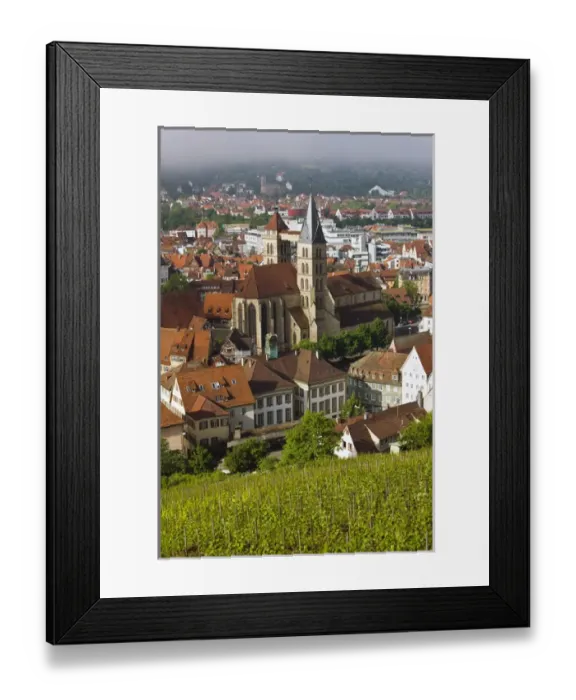 Framed Print : GERMANY, Baden-Wurttemberg, Esslingen Am Neckar. Town view from vineyards Framed Print : GERMANY, Baden-Wurttemberg, Esslingen Am Neckar. Town view from vineyards