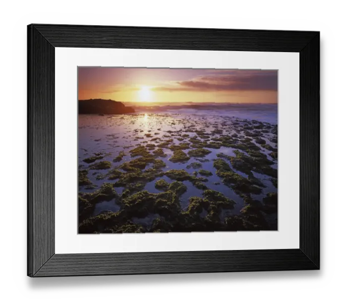 Framed Print : USA, California, San Gregorio State Beach, Tide Pools at sunset Framed Print : USA, California, San Gregorio State Beach, Tide Pools at sunset