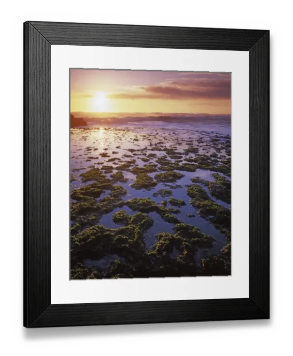 Framed Print : USA, California, San Gregorio State Beach, Tide Pools at sunset Framed Print : USA, California, San Gregorio State Beach, Tide Pools at sunset