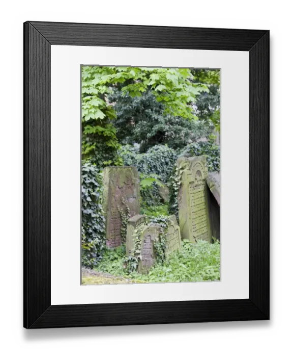 Framed Print : GERMANY, Hessen, Frankfurt am Main. Frankfurt Jewish cemetery, Old Jewish cemetery